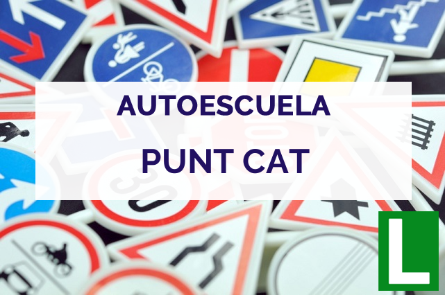 PUNT CAT